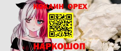 спиды Новодвинск