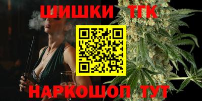 спиды Новодвинск