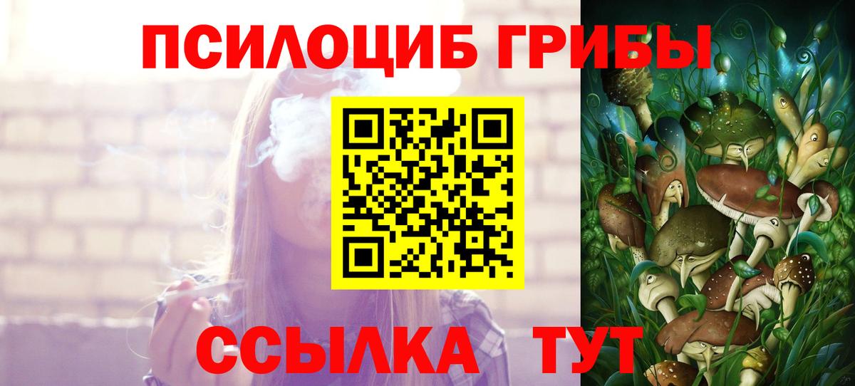 Черняховск  Галлюциногенные грибы Psilocybine cubensis  Вход с VPN  Псилоцибиновые грибы GOLDEN TEACHER 
